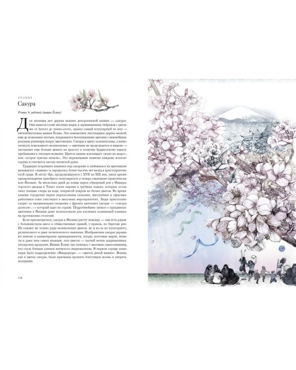 Вокруг света за 80 деревьев