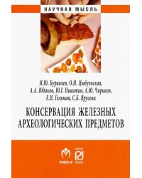 Консервация железных археологических предметов. Монография