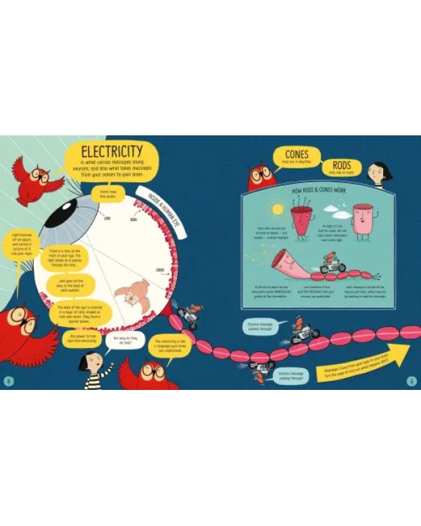 Дополнительное изображение книги «Book of the Brain and How it Works»