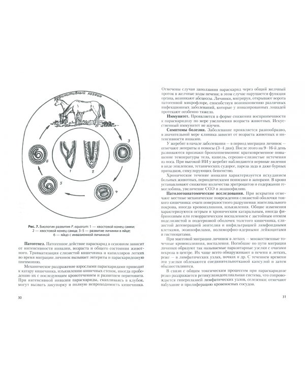Актуальные паразитарные и инфекционные болезни лошадей