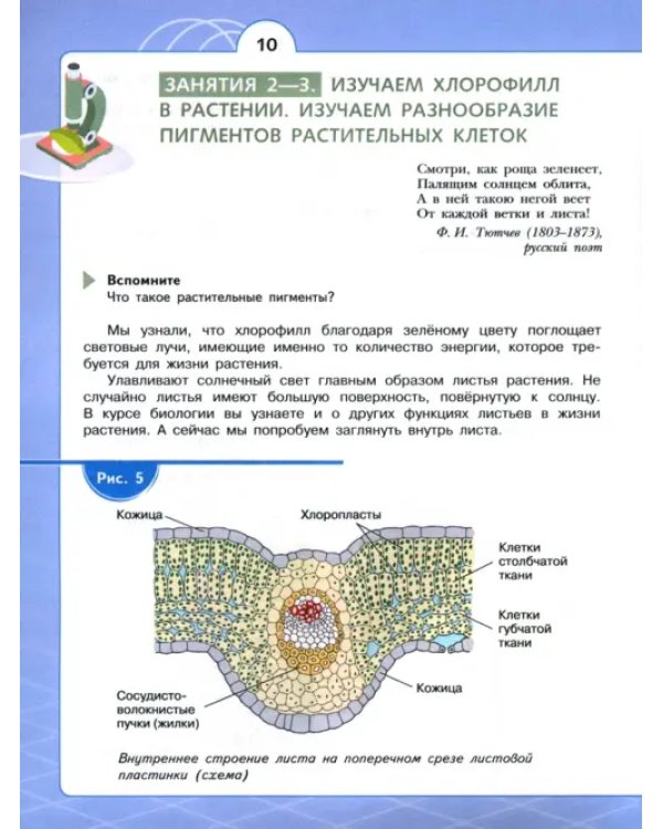 Естественно-научные предметы. Экологическая культура. 6 класс. Учебник