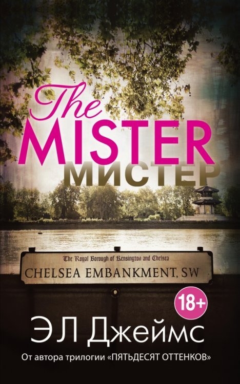 Эрика Джеймс. Мировое признание (Paperback) Мистер