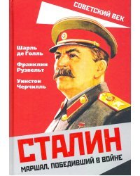 Сталин. Маршал, победивший в войне