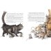 Кошачья санатория. Рассказы и стихи Кошачья санатория. Рассказы и стихи