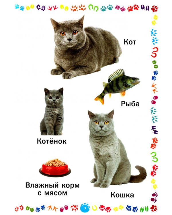 Животные и их детёныши. Книга для самых маленьких