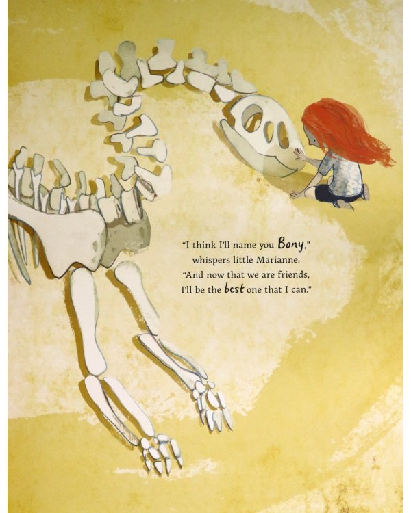 Дополнительное изображение книги «The Girl and the Dinosaur»