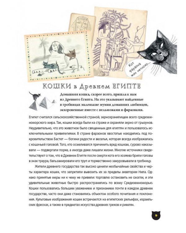 Дополнительное изображение книги «А вот и кот»