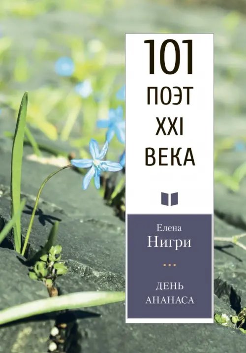 101 поэт XXI века День ананаса