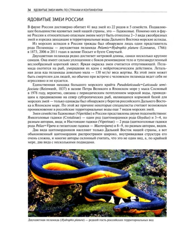 Ядовитые змеи мира
