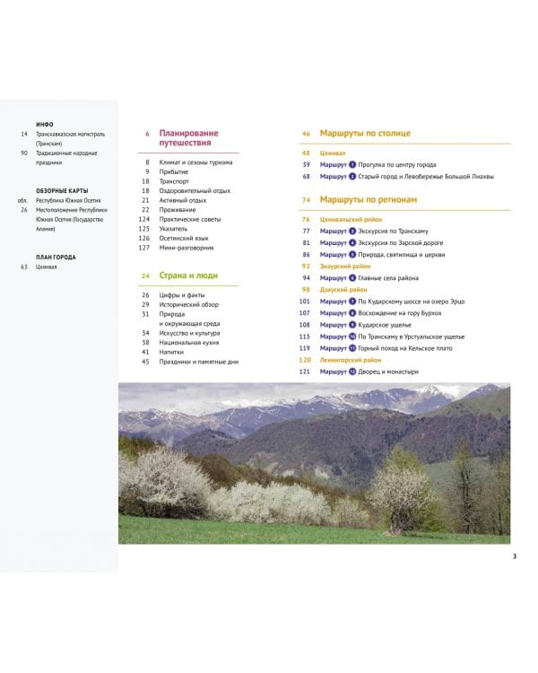 Южная Осетия