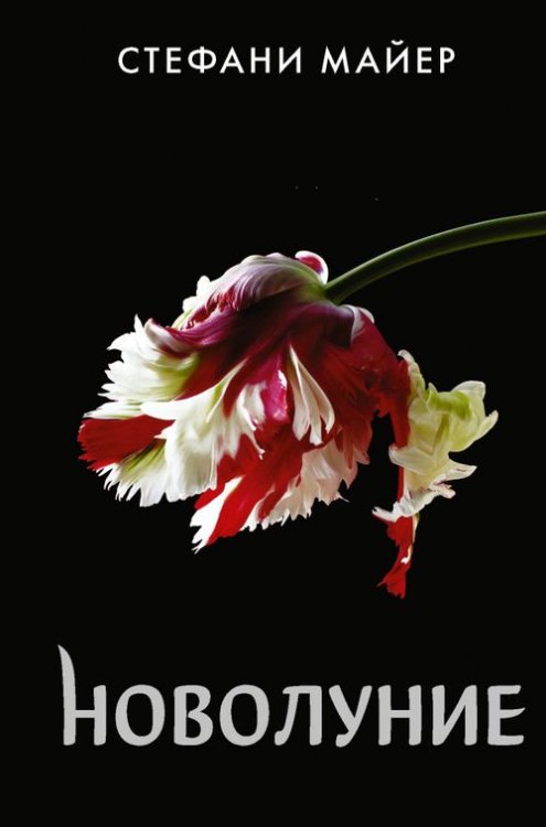 Стефани Майер: Возвращение Новолуние