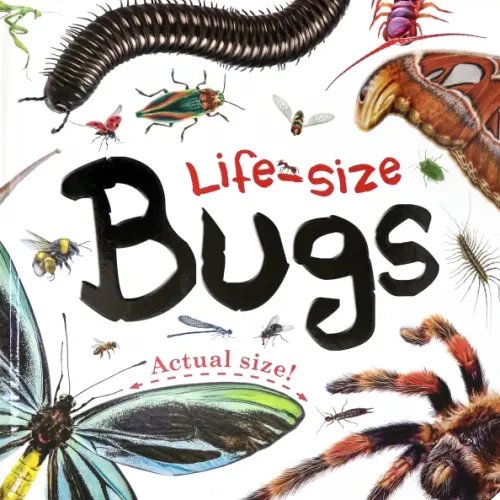 Life-size. Bugs