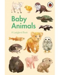 A Ladybird Book: Baby Animals
