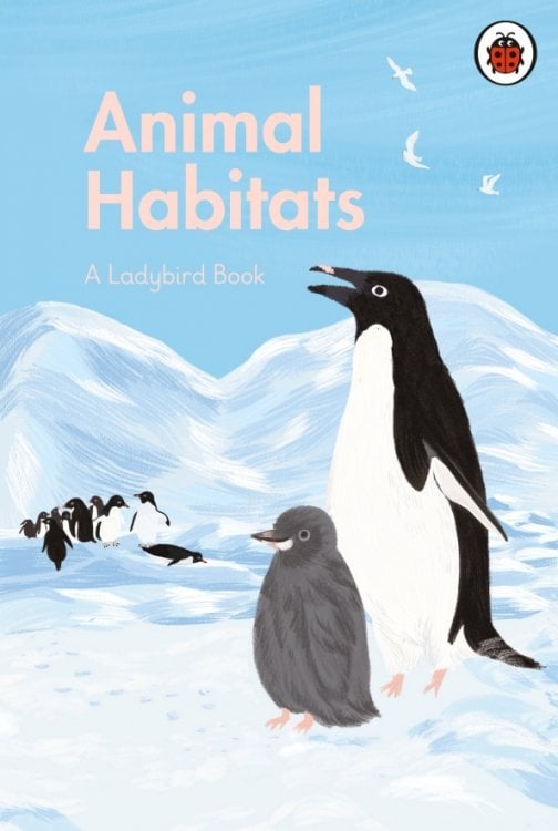 A Ladybird Book A Ladybird Book: Animal Habitats