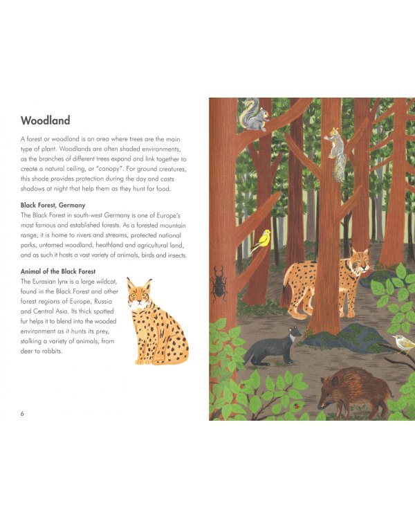 A Ladybird Book: Animal Habitats