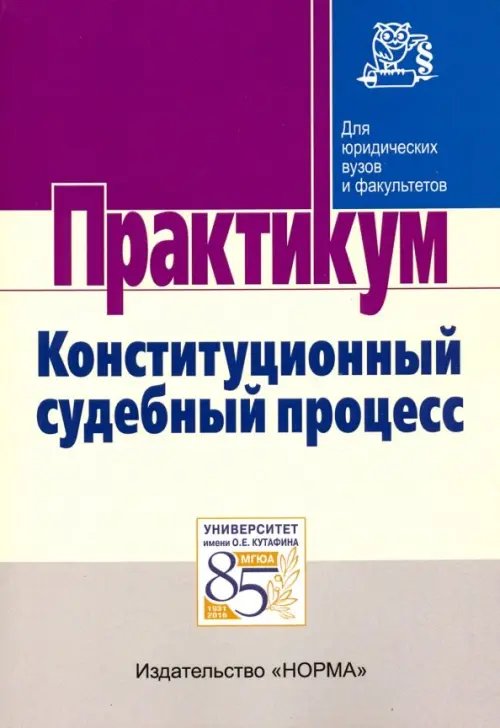 Конституционный судебный процесс. Практикум
