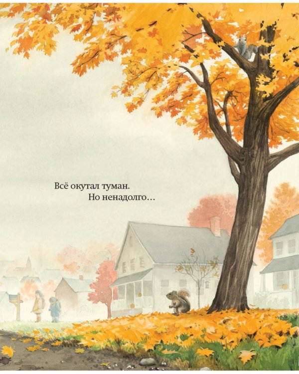 Вода, вода...Книга о круговороте воды
