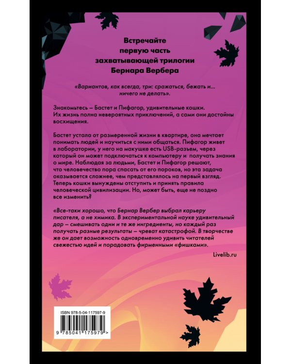 Завтрашний день кошки