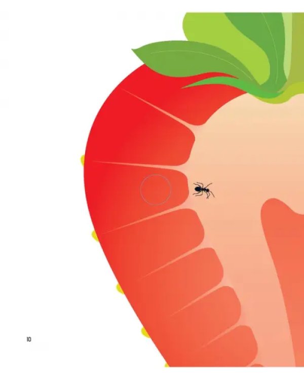 Дополнительное изображение книги «Что за фрукт?»
