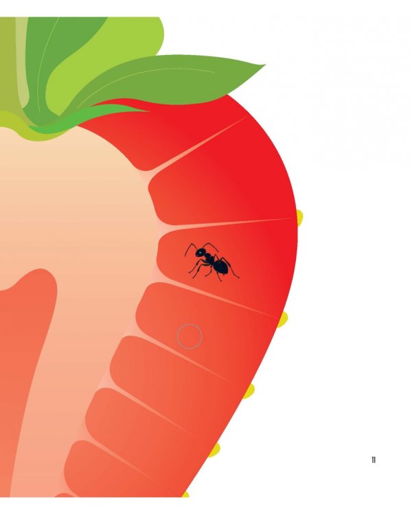 Дополнительное изображение книги «Что за фрукт?»