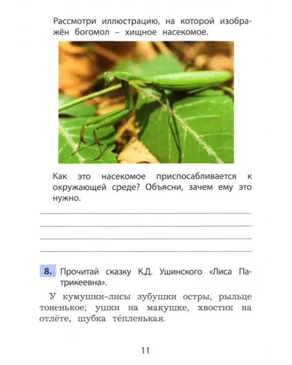 Функциональное чтение. 2 класс. Рабочая тетрадь