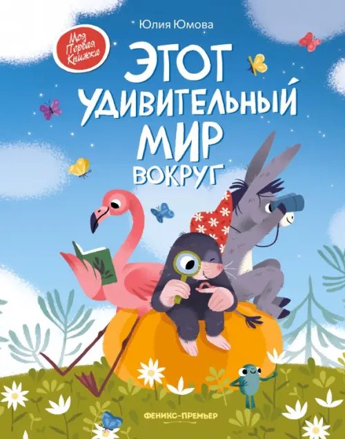 Обложка книги «Этот удивительный мир вокруг» — Юмова Юлия, ISBN 9785222361078