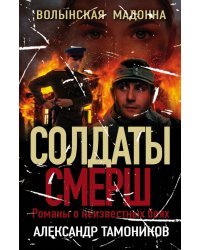 Волынская мадонна