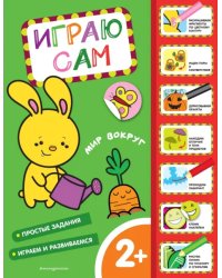Мир вокруг. Играю сам (с наклейками)