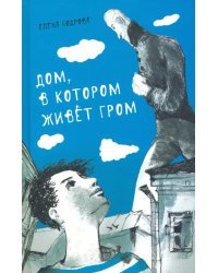 Дом, в котором живёт Гром. Никому не нужно небо. Повести