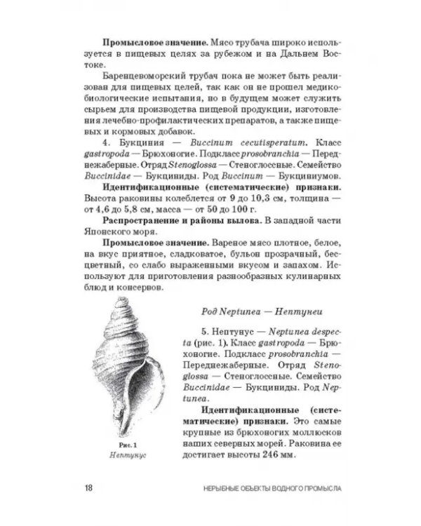 Атлас аннотированный. Нерыбные объекты водного промысла. Учебно-справочное пособие для СПО