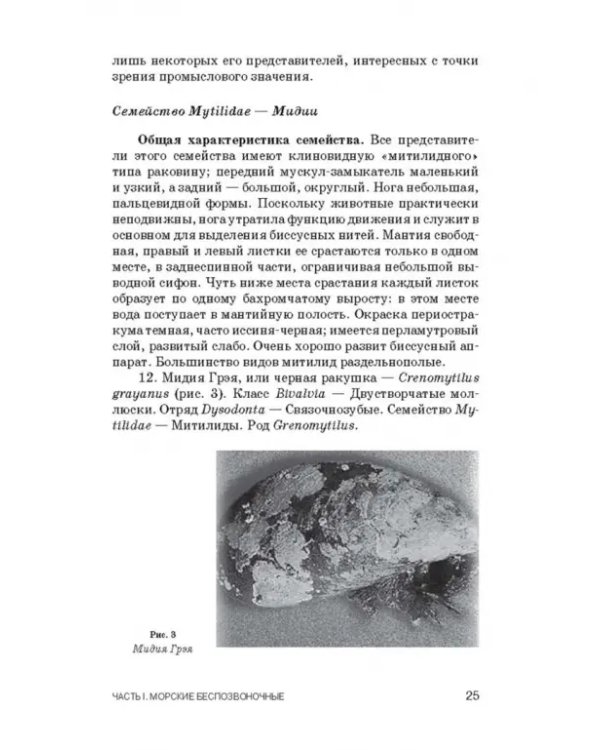 Атлас аннотированный. Нерыбные объекты водного промысла. Учебно-справочное пособие для СПО
