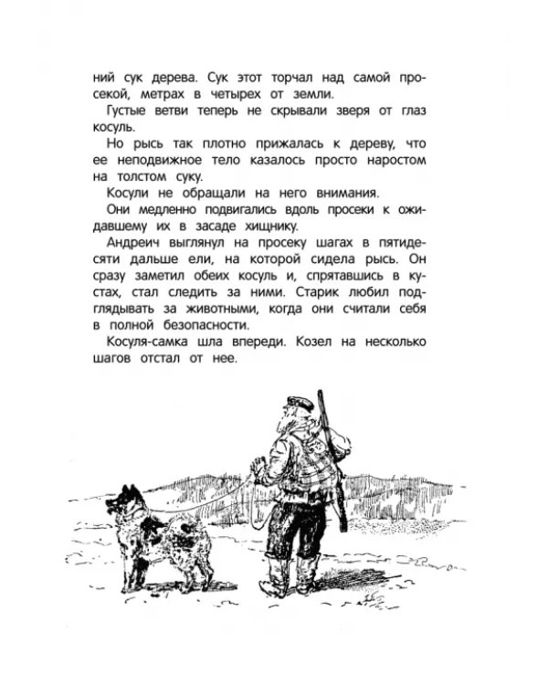Дополнительное изображение книги «Повести о животных»