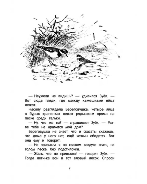 Рассказы и сказки с иллюстрациями Е. Рачёва