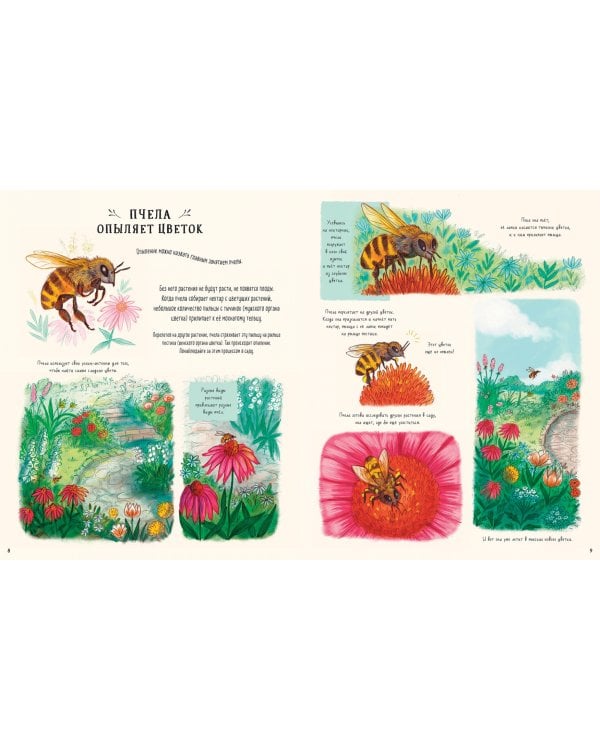 Оглянись вокруг. 50 маленьких событий в живой природе, ради которых стоит замедлиться