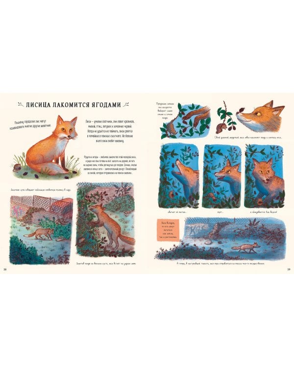 Оглянись вокруг. 50 маленьких событий в живой природе, ради которых стоит замедлиться