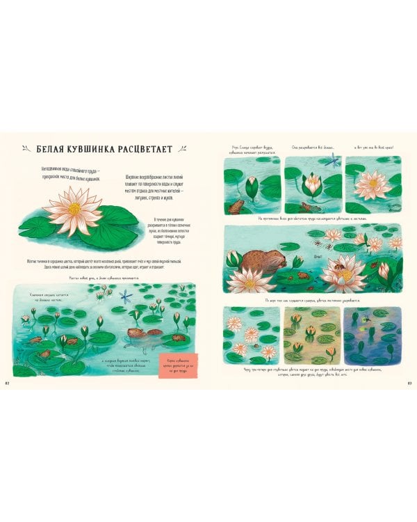 Оглянись вокруг. 50 маленьких событий в живой природе, ради которых стоит замедлиться