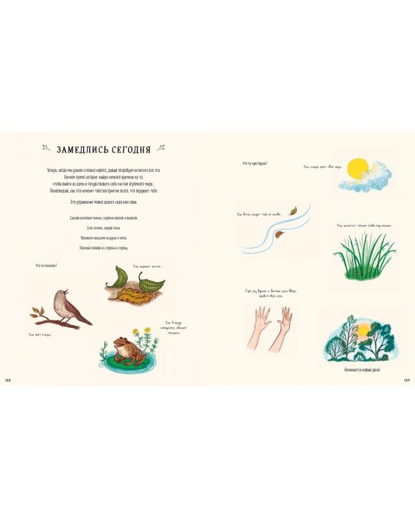 Оглянись вокруг. 50 маленьких событий в живой природе, ради которых стоит замедлиться