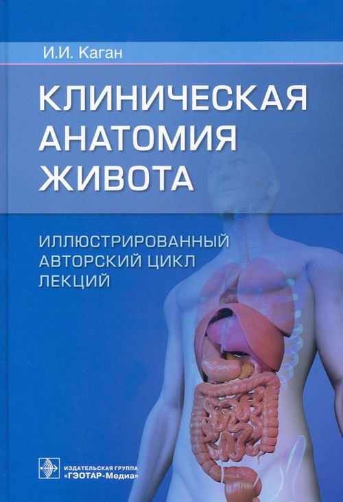 Клиническая анатомия живота. Иллюстрированный авторский цикл лекций