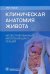 Клиническая анатомия живота. Иллюстрированный авторский цикл лекций