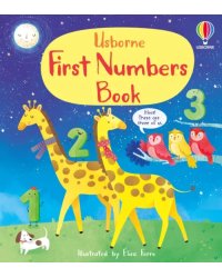 First Numbers Book. Board book