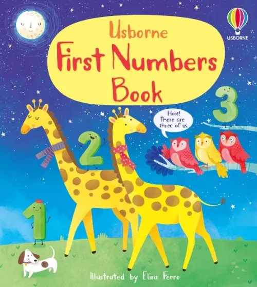 First Numbers Book. Board book First Numbers Book. Board book