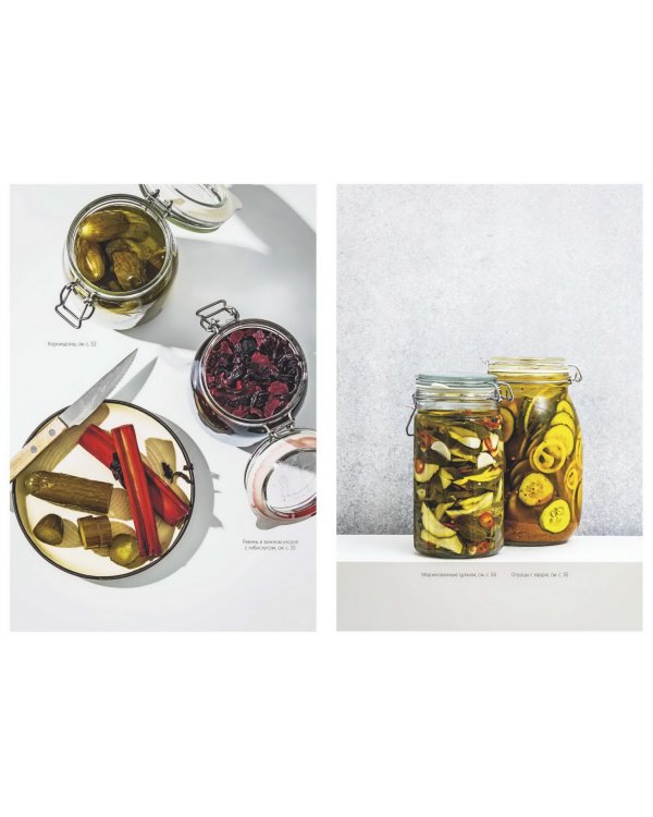 Консервирование по-скандинавски. Ферментация, маринование, сушка и авторские приправы