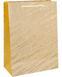 Пакет подарочный &quot;Золотое сияние&quot;, 26х32х10 см