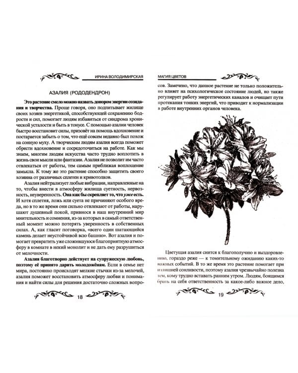 Магия цветов