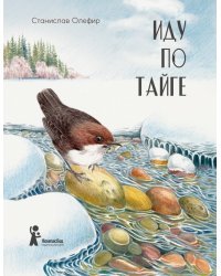 Иду по тайге