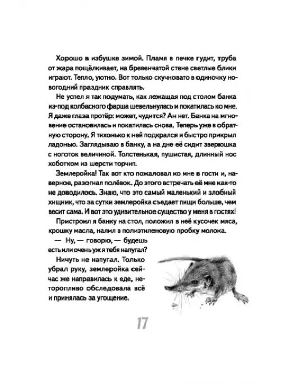 Иду по тайге
