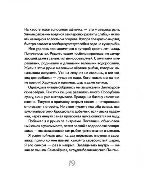 Иду по тайге