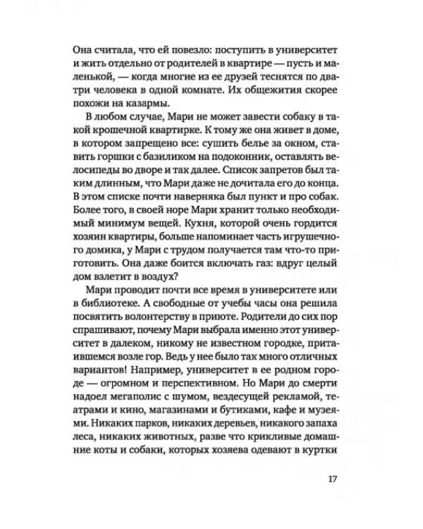 Зорро в снегу