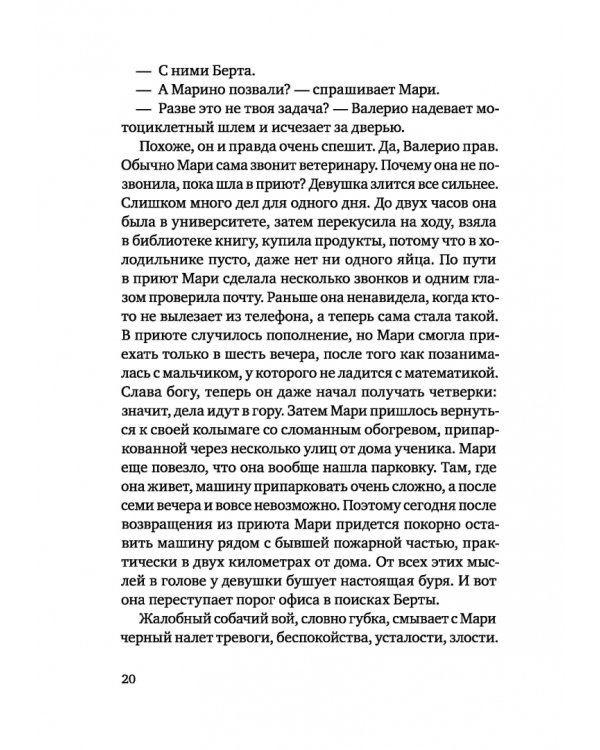 Зорро в снегу