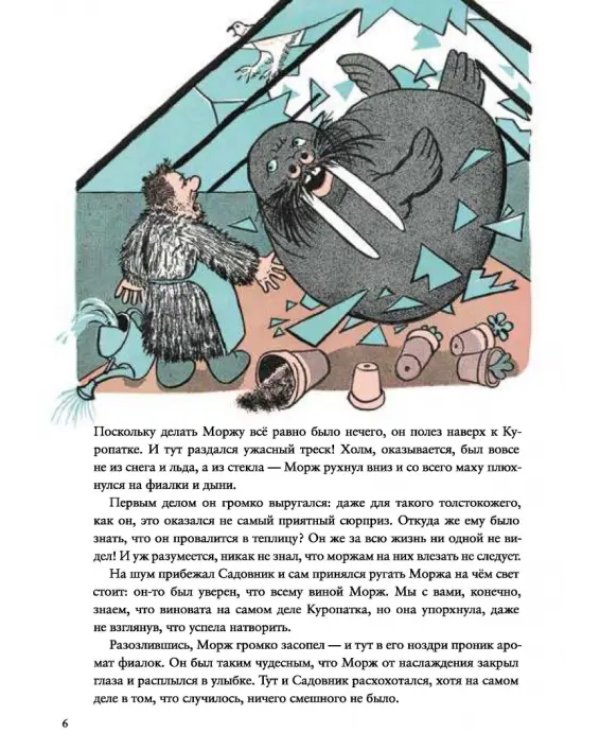 Морж и фиалки